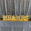 White Curtain Backdrop 6mx3m - Image 2